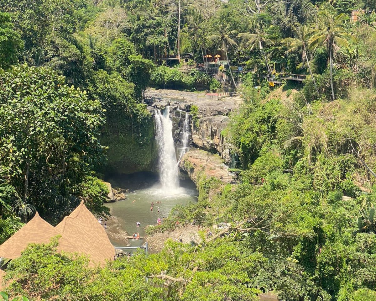 bagus bali tour information